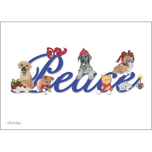 Pipsqueak Productions Pipsqueak Productions C703 Peace Mix Dog with Cat Christmas Boxed Cards - Pack of 10 C703